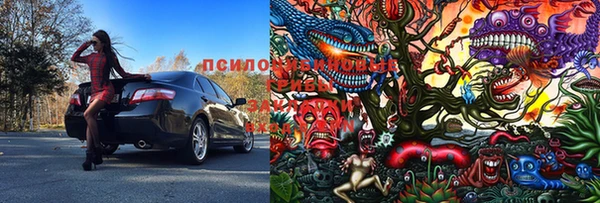 стаф Гусиноозёрск