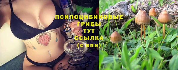 mdpv Гусь-Хрустальный